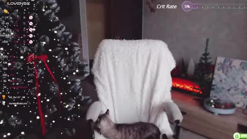 Marcy online show from 12-05-24, 06:10