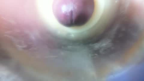 Marc online show from 02-06-26, 11:41