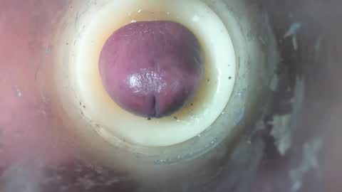 Marc online show from 02-08-26, 07:06