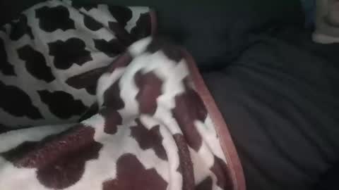 Snapshot of marekishere chatting on 11-14-25, 12:48 marek online show from 11-14-25, 12:48