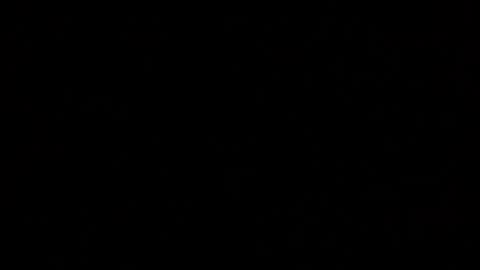 Elle online show from 10-19-25, 12:11