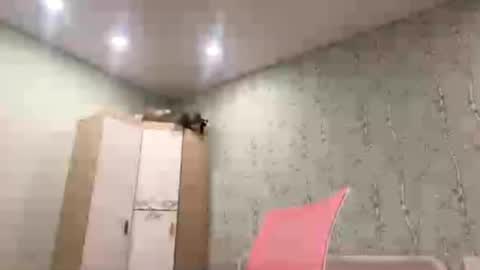Marilu wanna play  Meow online show from 11-25-25, 04:29