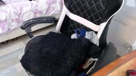 Snapshot of marilyn_lil chatting on 02-26-25, 08:44 Marilyn online show from 02-26-25, 08:44