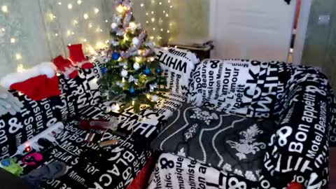 MarleneHudsonAh online show from 12-24-24, 08:16