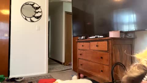 maroon_moon online show from 02-14-25, 04:09