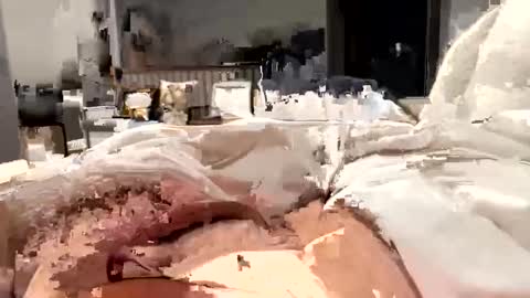 marriedthickdick37 online show from 02-12-25, 05:37