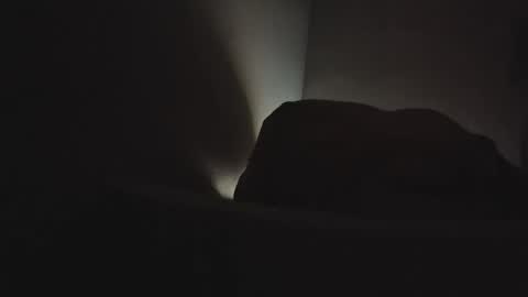 Snapshot of martamoontrans chatting on 02-03-26, 06:40 martamoontrans online show from 02-03-26, 06:40