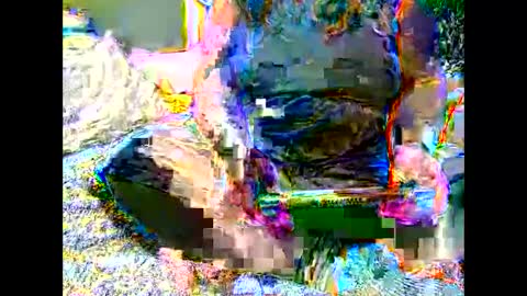 Martha online show from 11-06-25, 07:09