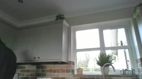 martinrgbxxxx online show from 12-15-24, 09:56