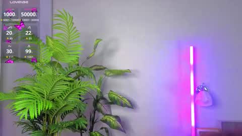 mary online show from 11-18-25, 05:17