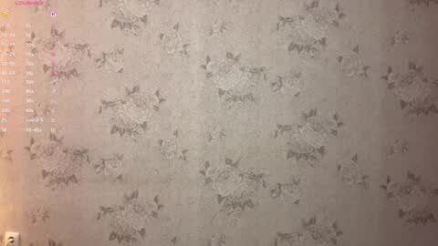 Stephie online show from 02-17-26, 08:04