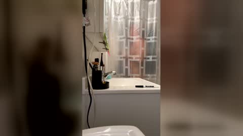 HappyZending online show from 01-17-26, 11:19