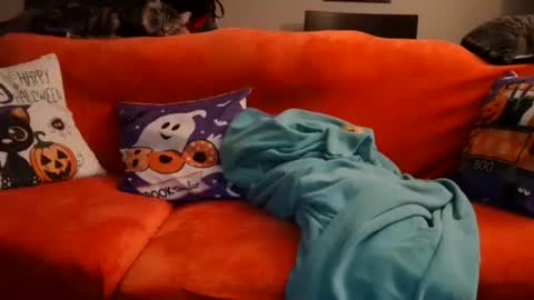 alex online show from 10-20-25, 07:53