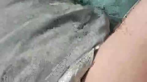 mathisdavid6757 online show from 11-22-25, 01:32