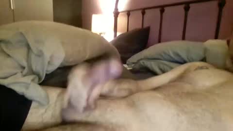 Snapshot of matrixdog69 chatting on 11-04-25, 04:06 matrixdog69 online show from 11-04-25, 04:06