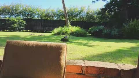 Matt Sweet online show from 01-14-26, 02:23