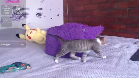 Snapshot of mature_liaa chatting on 11-19-25, 03:34 Mature liaa online show from 11-19-25, 03:34