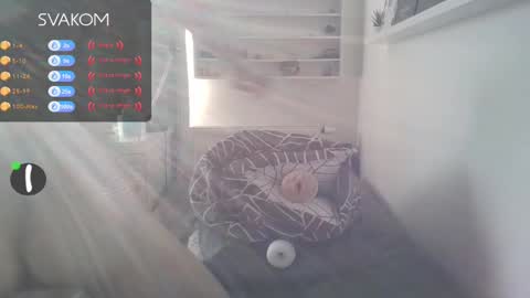 Snapshot of matyastethal2 chatting on 02-19-25, 08:12 Matyas online show from 02-19-25, 08:12