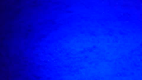 Snapshot of mauriciano2018 chatting on 12-29-24, 08:22 Ignacio online show from 12-29-24, 08:22