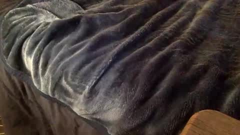 Snapshot of mauriciano2018 chatting on 10-09-25, 03:59 Ignacio online show from 10-09-25, 03:59