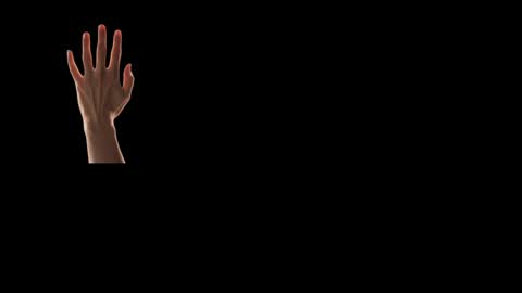 Snapshot of max_original chatting on 02-24-25, 04:26 Future Max online show from 02-24-25, 04:26