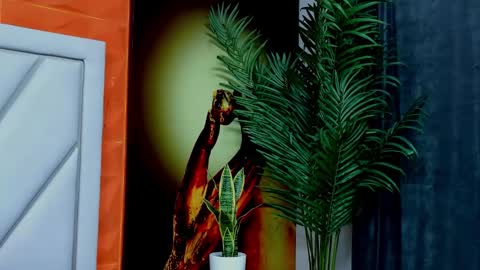 Alex online show from 02-17-26, 11:29