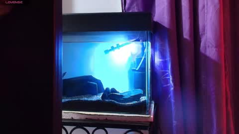 Snapshot of maxianomal chatting on 03-09-26, 02:04 Max online show from 03-09-26, 02:04