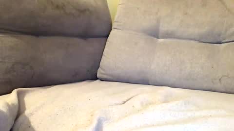 maximemax14 online show from 02-25-26, 08:18