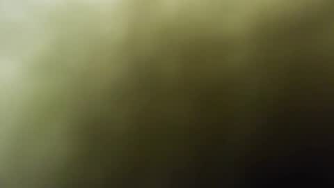 maylee_x online show from 02-15-25, 12:01