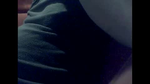 Snapshot of mcfly29901 chatting on 12-20-24, 04:14 Rachel Dan online show from 12-20-24, 04:14