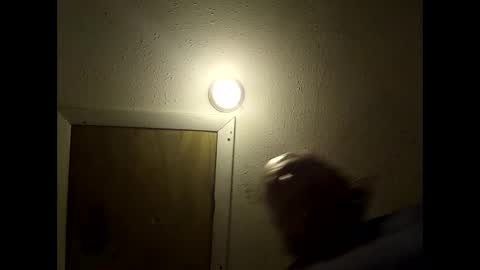 meaderd740870 online show from 02-14-26, 03:25