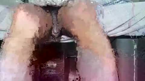 megaguebo online show from 02-11-26, 09:42