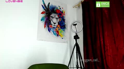 megan_cat online show from 11-11-25, 11:21