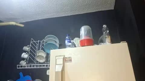 Megan and sophi online show from 11-05-25, 03:39