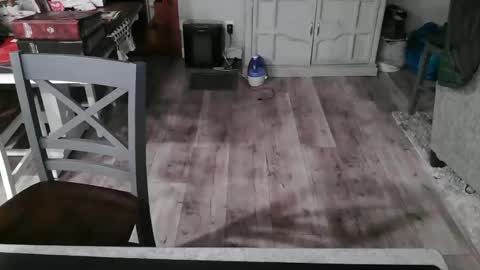 Snapshot of meganfitzy chatting on 02-26-25, 12:27 GlamTransGoddess online show from 02-26-25, 12:27