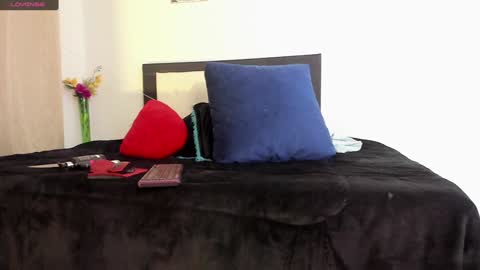 melaniie_roussel online show from 12-22-24, 04:06