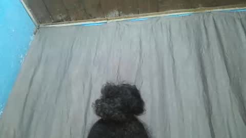 meld2599 online show from 11-11-25, 04:01