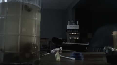 I am usually high and horny...lol online show from 10-21-25, 12:44