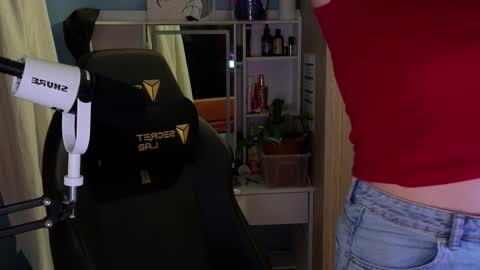 Snapshot of memisecrets chatting on 02-17-26, 05:30 Megumi Aina online show from 02-17-26, 05:30