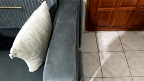 Snapshot of memo654733 chatting on 02-27-26, 08:42 Chucky1200 online show from 02-27-26, 08:42