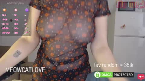 Snapshot of meowcatlove chatting on 01-27-25, 06:31 meowcatlove online show from 01-27-25, 06:31