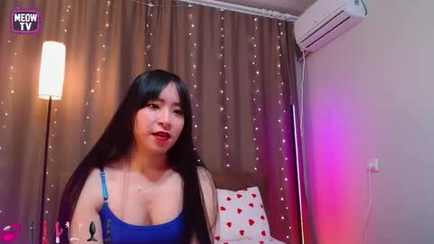 meowkami online show from 02-05-26, 11:42