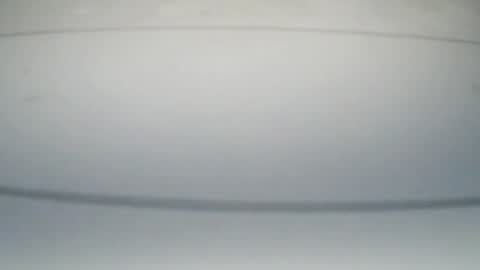 meowmeowmoney online show from 09-22-25, 09:44