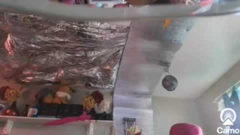 Snapshot of merelyalover chatting on 12-26-24, 09:04 gurlnips online show from 12-26-24, 09:04