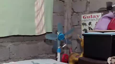 Snapshot of merietiny chatting on 01-22-25, 05:59 merietiny online show from 01-22-25, 05:59