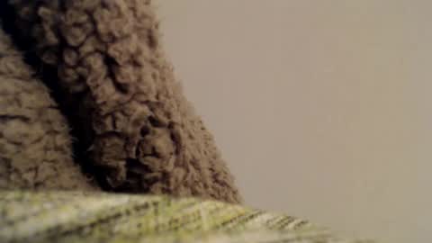 Mauro online show from 02-06-25, 11:37