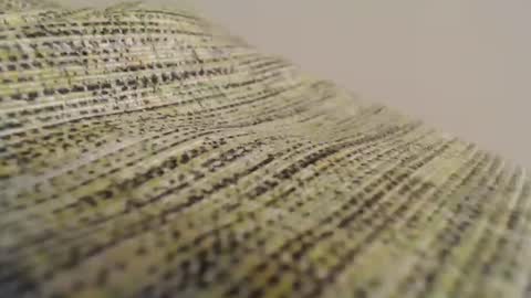 Mauro online show from 02-11-25, 08:52