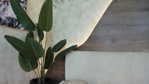 mia_lacy online show from 12-12-24, 10:31