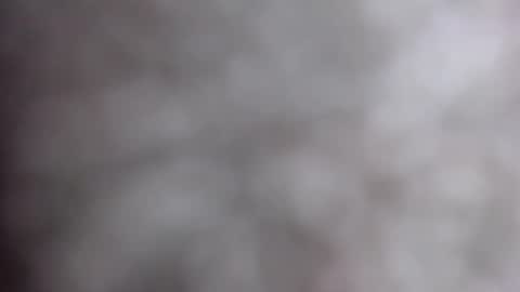 MiahLove31 online show from 10-17-25, 04:59