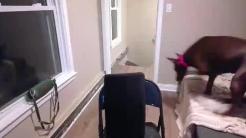 miamak online show from 12-20-25, 02:07